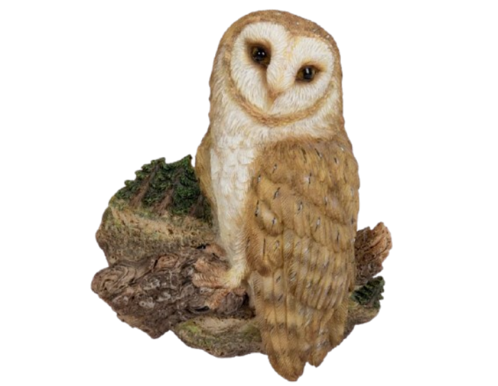 WF Barn Owl on Branch Magnet by Vivid Arts
