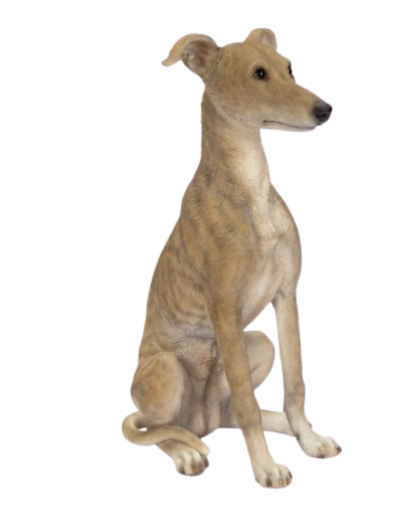 Whippet Real Life Resin Ornament by Vivid Arts Vivid Arts