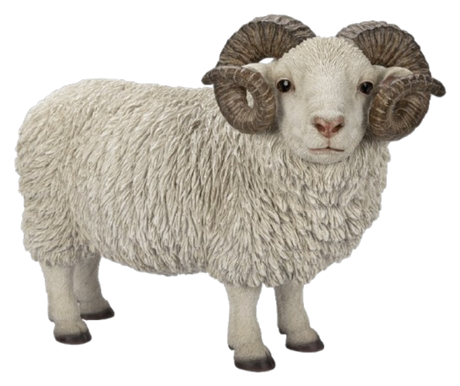 Real Life Ram with Horns Resin Ornament by Vivid Arts Vivid Arts