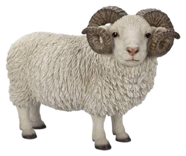 Real Life Ram with Horns Resin Ornament by Vivid Arts Vivid Arts