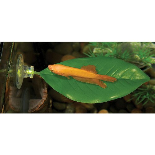 Zoo Med Betta Bed Leaf Hammock, Large