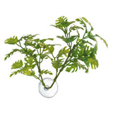 Zoo Med Betta Plant, Window Leaf