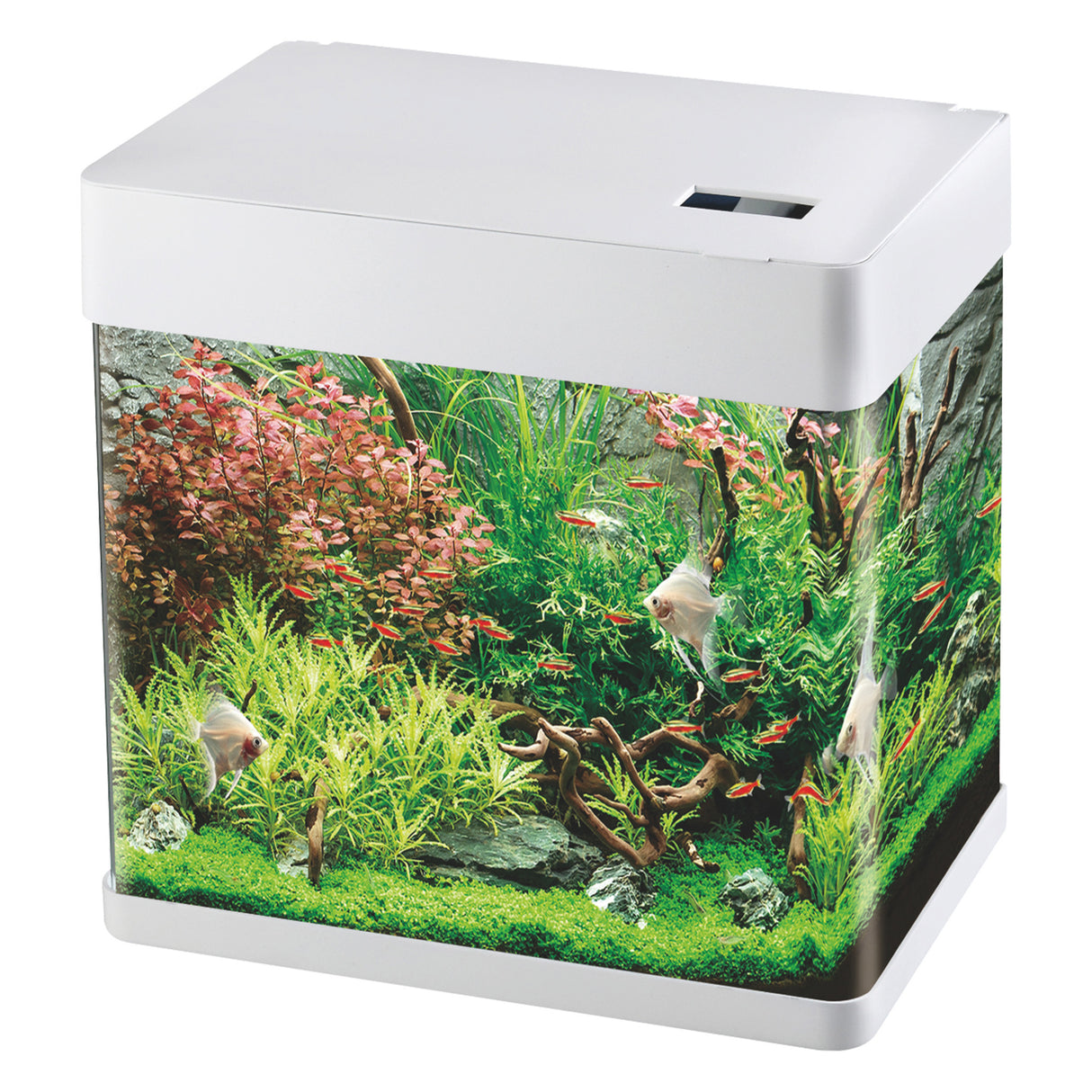Betta Choice Lifespace View 30L Aquarium - White