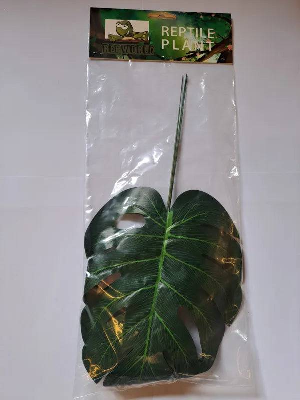 Cheese Plant Leaves 3pcs Anhui Hefei Hongjia Co Ltd