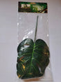 Cheese Plant Leaves 3pcs Anhui Hefei Hongjia Co Ltd
