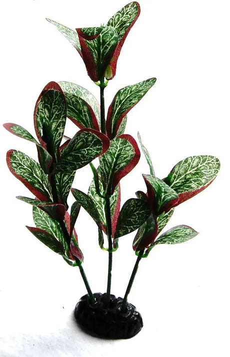 Sunny Aquarium Silk Plant APS-026  8 Inch Anhui Hefei Hongjia Co Ltd
