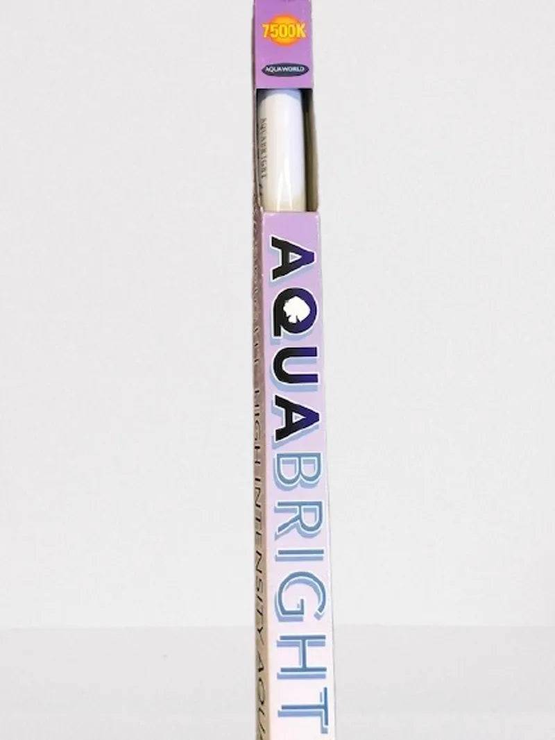 AquaBright Fluorescent Light Bulb 30inch T8 Aquaworld