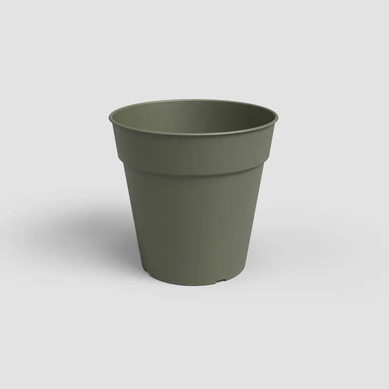 Madagascar To Grow Pot 19cm Dry Green