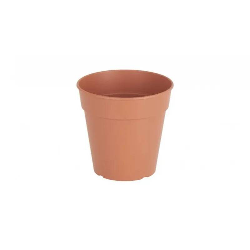Madagascar To Grow Pot 19cm Terracotta