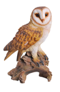 Barn Owl Real Life Resin Ornament by Vivid Arts Vivid Arts