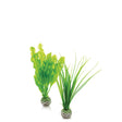 BiOrb Easy Plant Small Green Accessory Pack x2 Aquarium Decoration Oase (Uk) Ltd