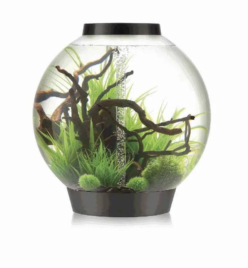 biOrb Classic 105 Litre Aquarium Black with Multi Colour Remote 2020.