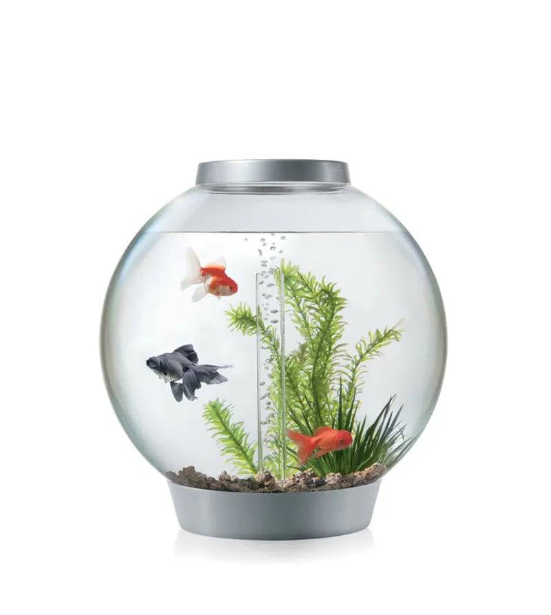 biOrb CLASSIC 30 SilverMCR New