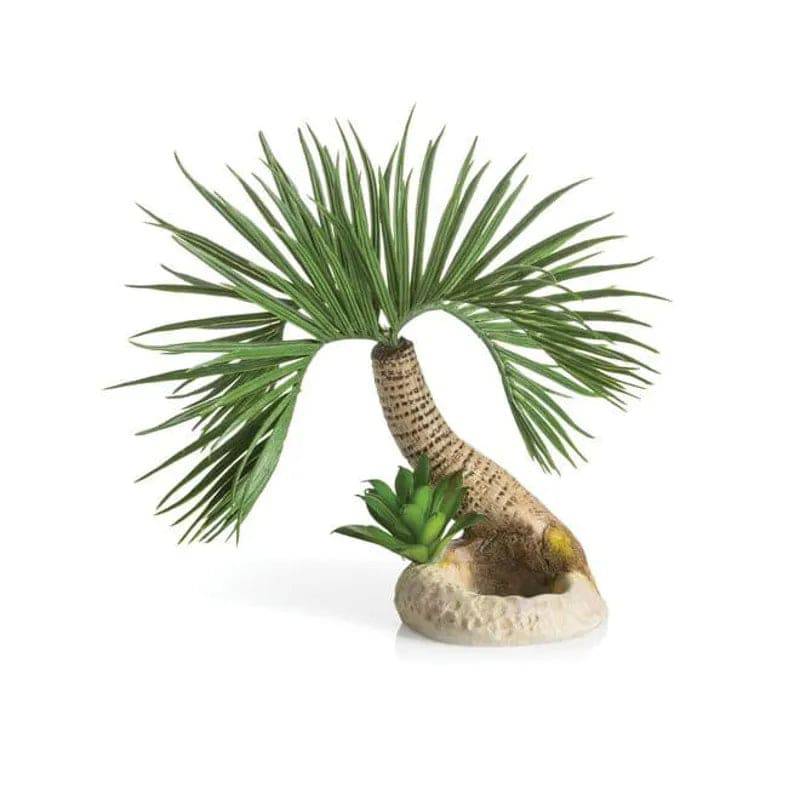 biOrb palm tree Seychelles S