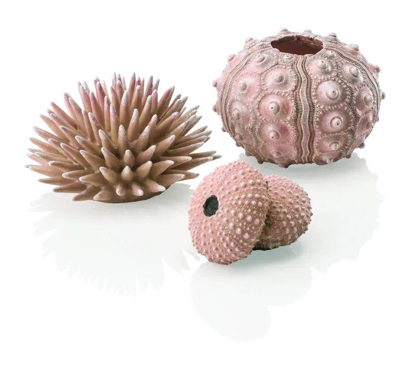 biOrb Sea Urchins Set of 3 in Natural