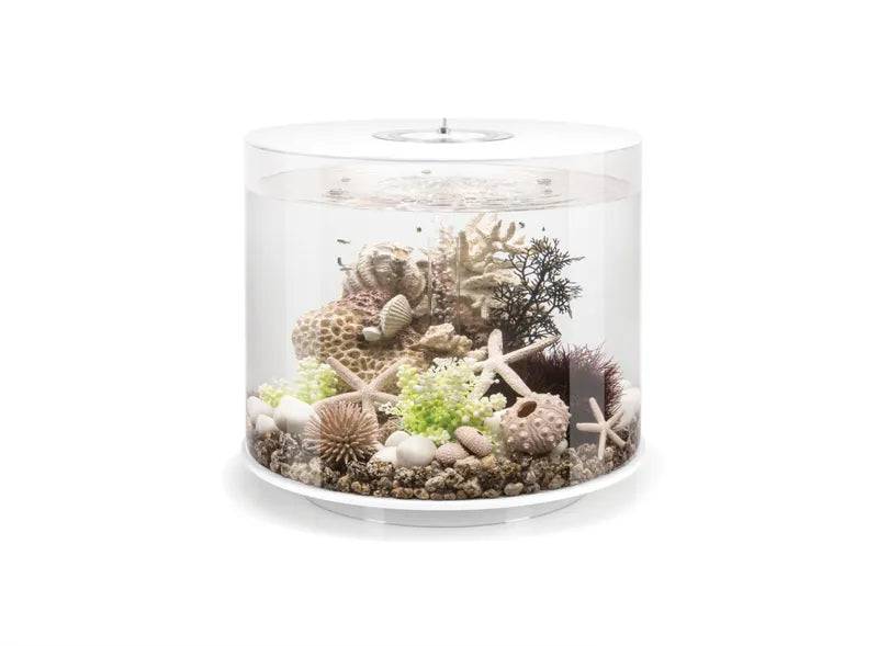 biOrb TUBE 35 White MCR