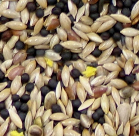 Marriages Canary Food 1kg