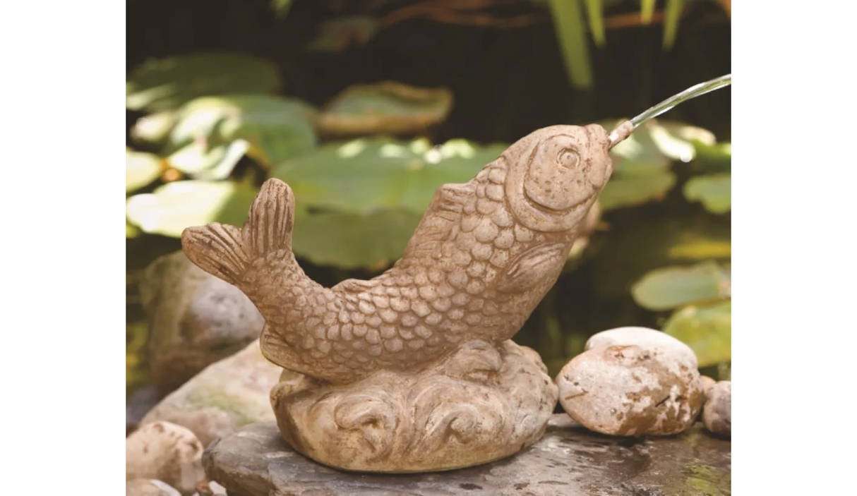 Small Curling Carp - Plumbed
