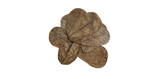 HabiStat Catappa Leaves 10pk