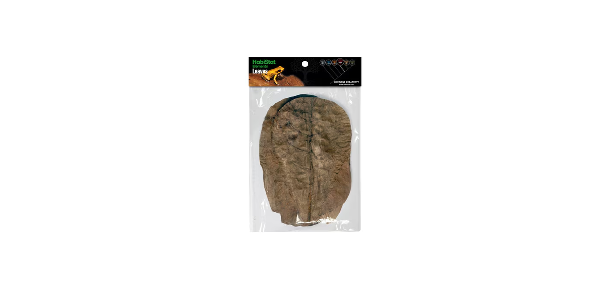 HabiStat Catappa Leaves 10pk
