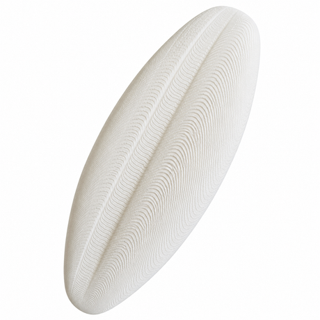 Cuttlefish Bone Anhui Hefei Hongjia Co Ltd