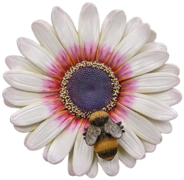 Large Hanging Zulu Daisy with Bee by Vivid Arts Vivid Arts