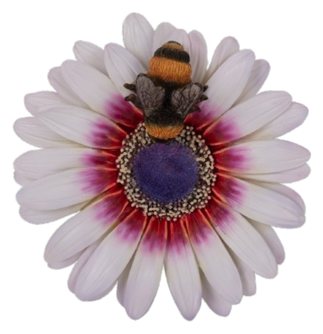 White Daisy with Bee Wall Hanging Ornament By Vivid Arts Vivid Arts