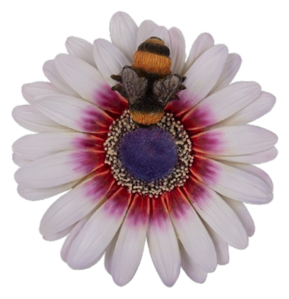 White Daisy with Bee Wall Hanging Ornament By Vivid Arts Vivid Arts