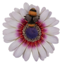 White Daisy with Bee Wall Hanging Ornament By Vivid Arts Vivid Arts