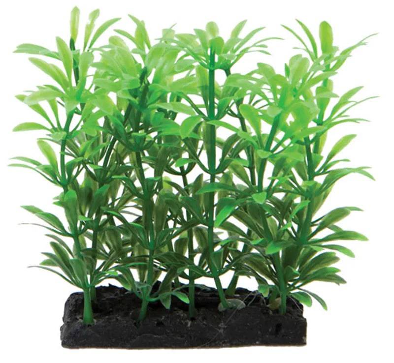 Fish R Fun Plant & Base Green Aquarium Decoration