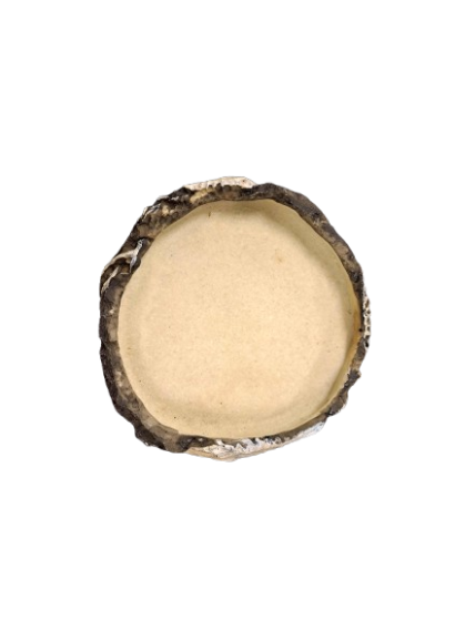 Medium Reptile Dish