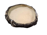Medium Reptile Dish