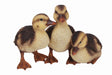 Real Life Duckling Group Resin Ornament by Vivid Arts Vivid Arts