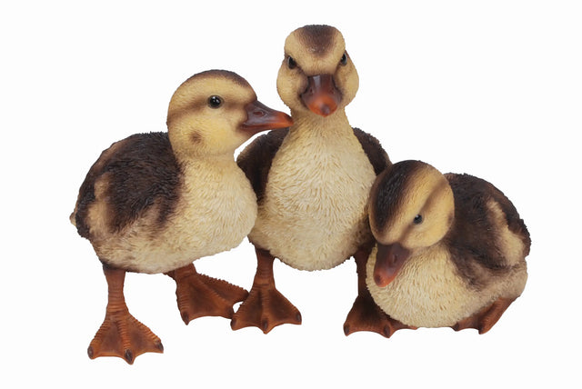 Real Life Duckling Group Resin Ornament by Vivid Arts Vivid Arts