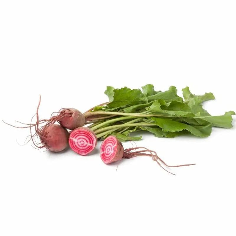 Beetroot Barbabietola Di Chio
