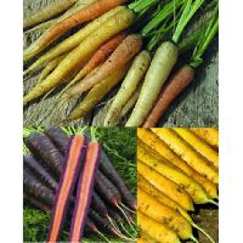 Carrot Mixed