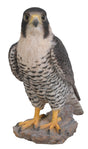 Peregrine Falcon Real Life Resin Ornament by Vivid Arts Vivid Arts