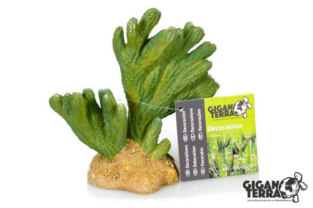 GiganTerra Cactus  - 13 x 6.5 x 13cm Giganterra
