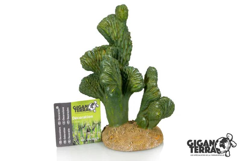 Cactus 8 - 13 X 11 X 18 Cm