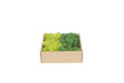 My Village Reindeer Moss Mix Dark Green - Green 250G My Village