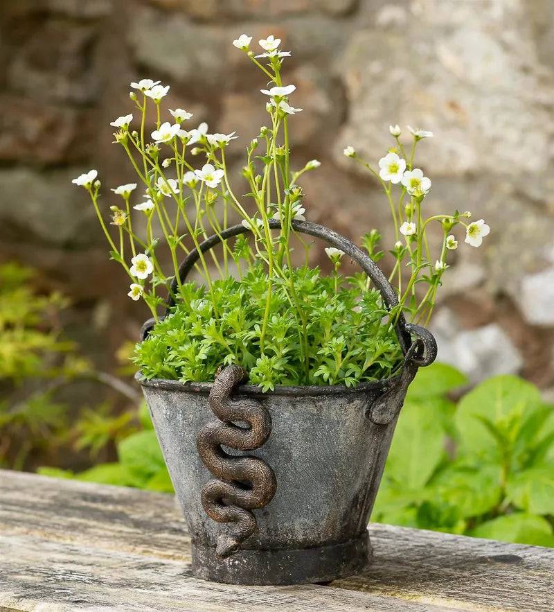 Pot Buddy Antique Bronze Snake