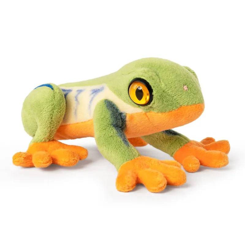 Red Eye Tree Frog 15cm