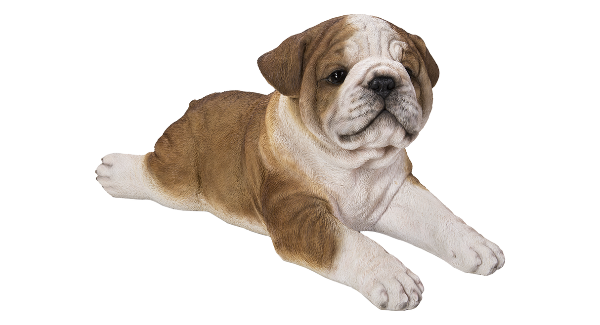 Laying Bulldog Puppy Resin Ornament – Vivid Arts Realistic Decor