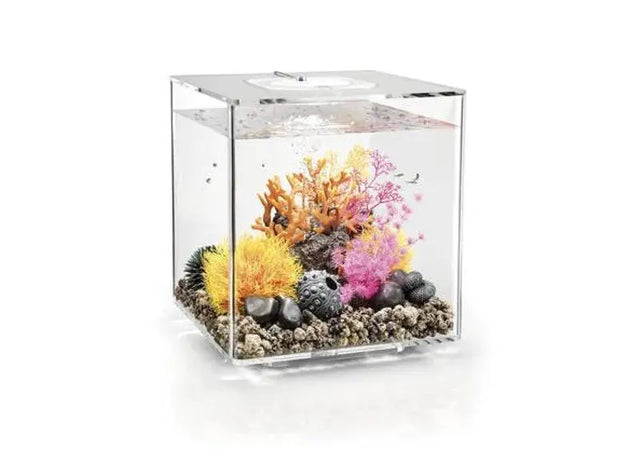 biOrb Cube 30L in Clear with Multi-Colour Remote Controlled Lighting Biorb