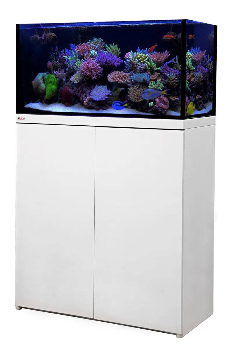 Octo Lux Classic 60 White