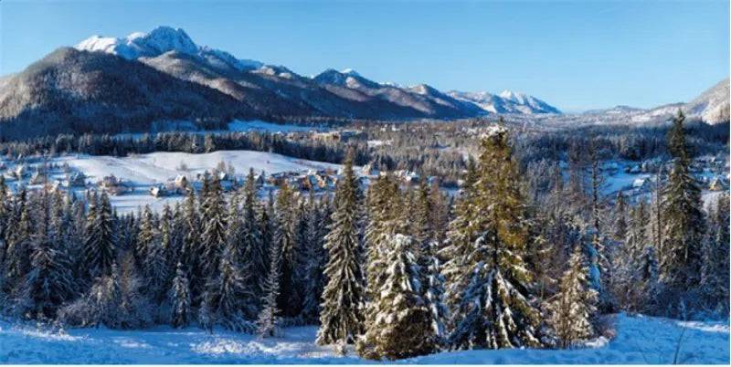 BACKGROUND CLOTH WINTER VILLAGE XL 300x150CM