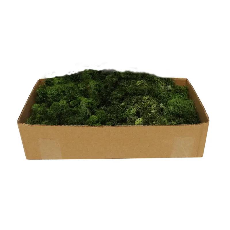 REINDEER MOSS DARK GREEN 500GR