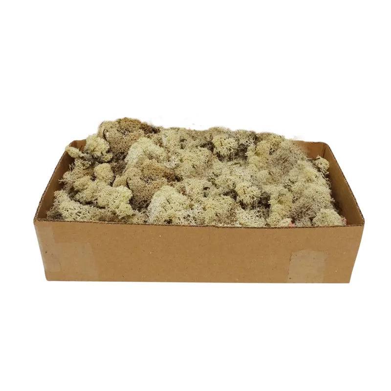 Reindeer Moss Natural 500g - My Village Decorative Moss My Village