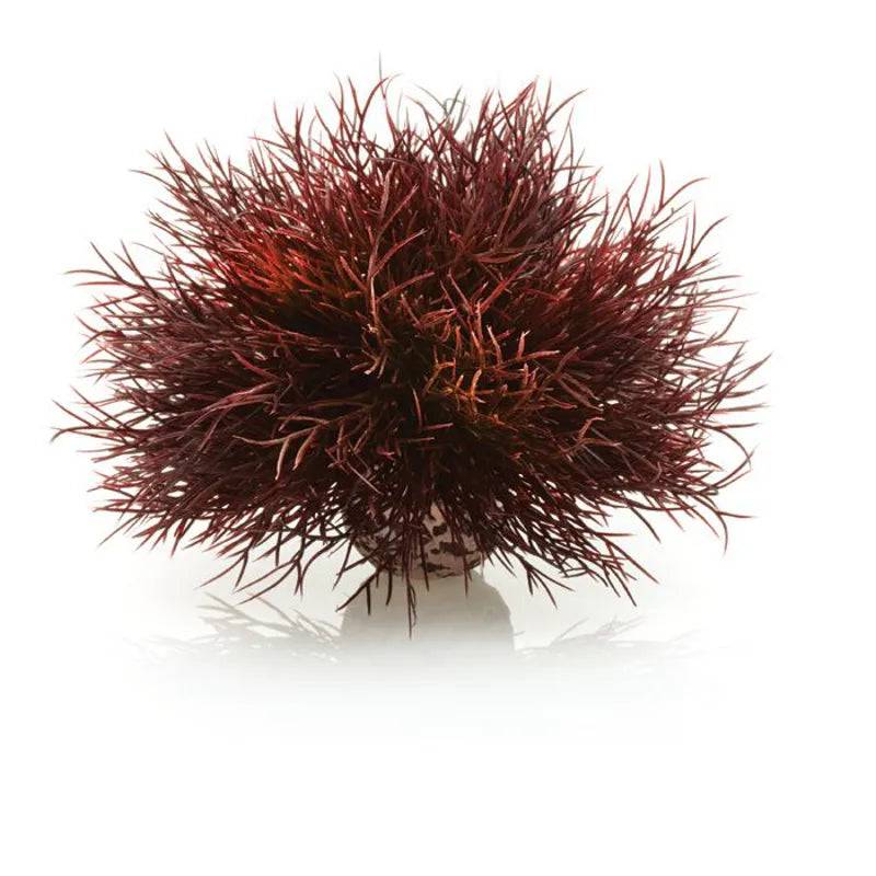 biOrb Crimson Sea Lily Aquarium Decoration