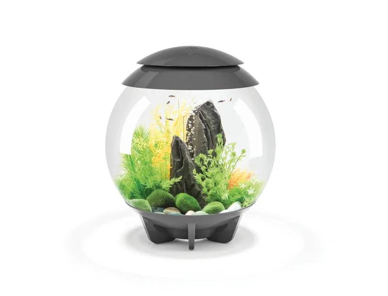 biOrb HALO 30 Grey MCR New